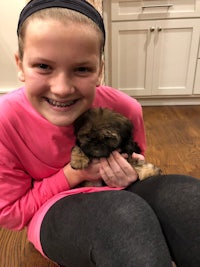 a girl holding a small black and brown shih tzu puppy