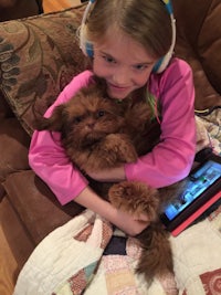 a girl holding a small brown dog on a couch