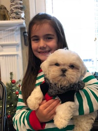 a little girl holding a white shih tzu